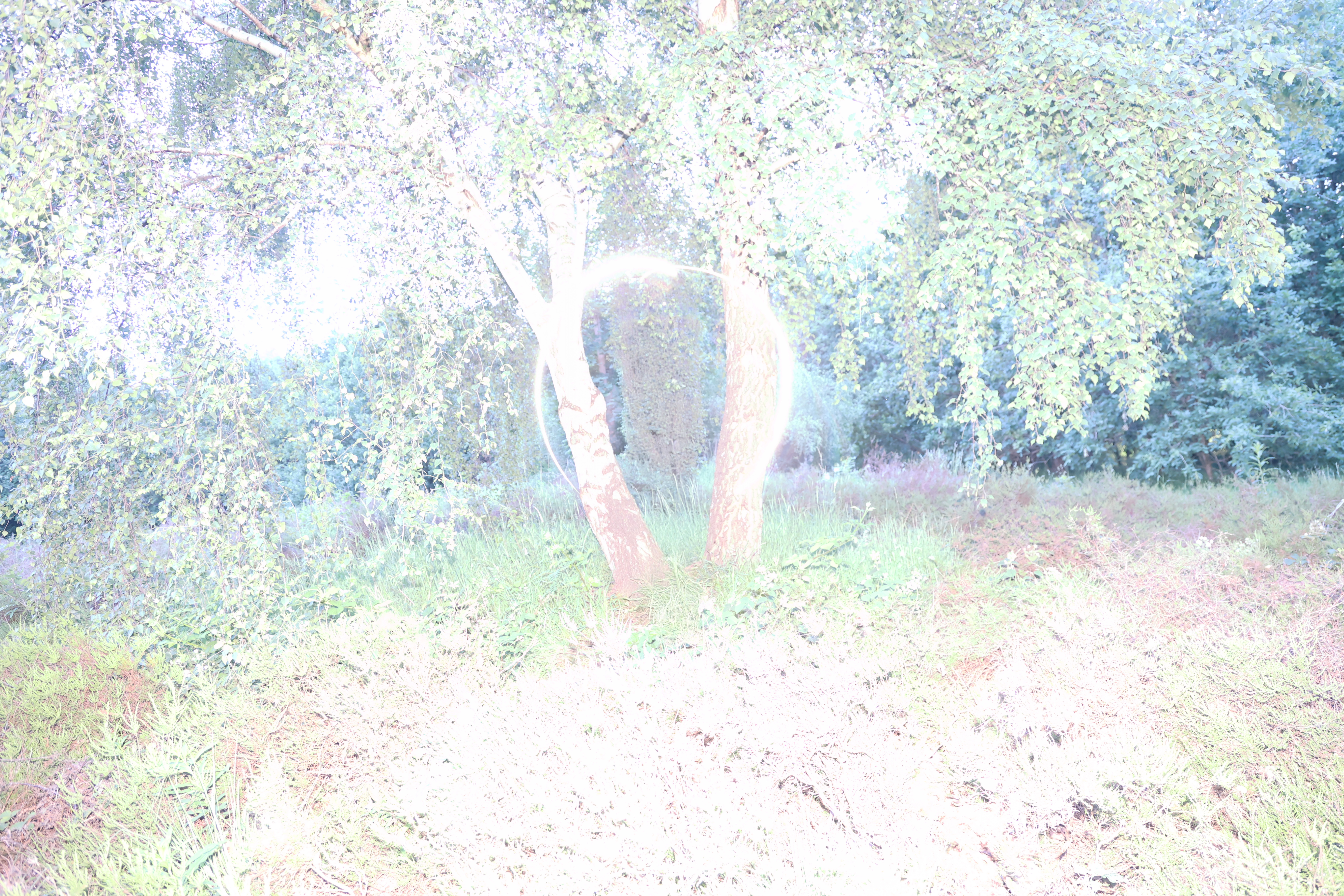 Fallen Star image making project